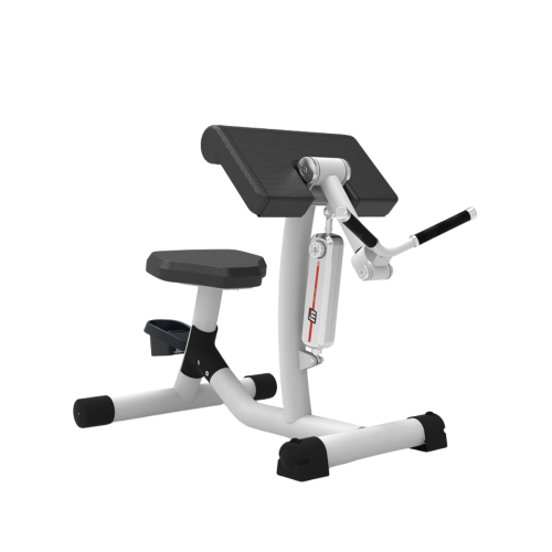 RL8103 Biceps Curl/Triceps Extension
