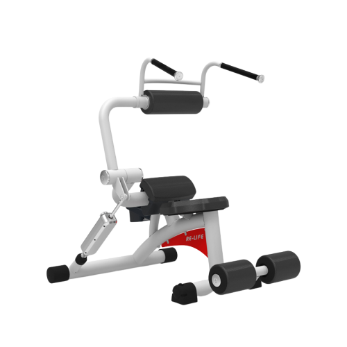 RL8107 Ab Crunch/Back Extension