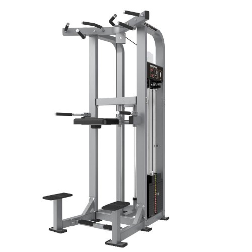 PTHS11 Dip Chin Assist