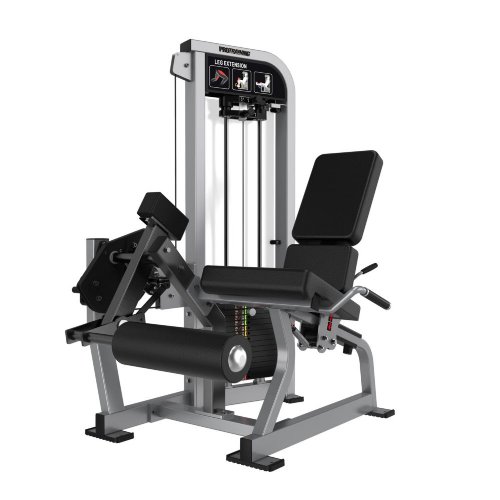 PTHS13 Leg Extension