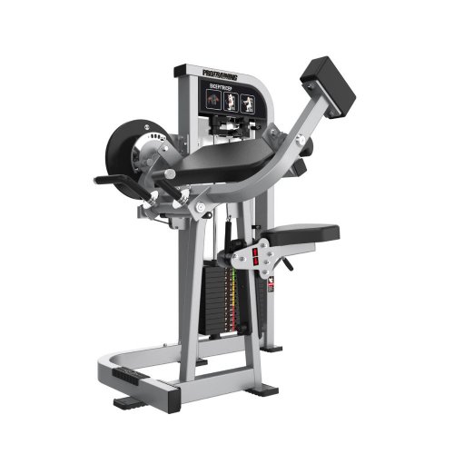 PTHS34 Biceps / Triceps