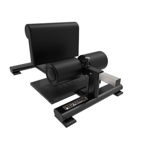 PTTM92 Sissy Squat I