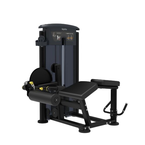 IT9521 V Bench Leg Curl