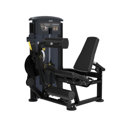 IT9528 Leg Curl / Leg Extension