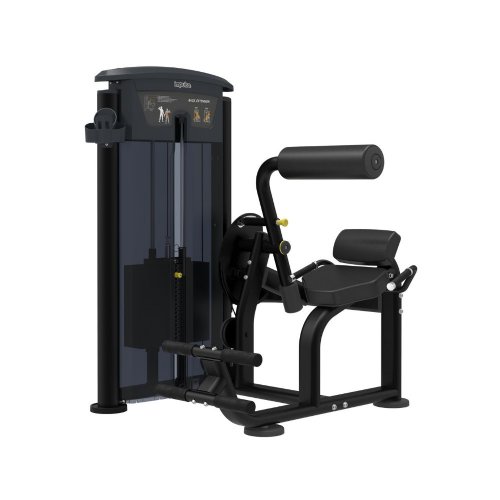 IT9532 Back Extension