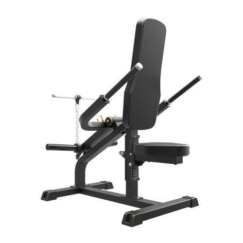 IFP1706 Biceps / Triceps