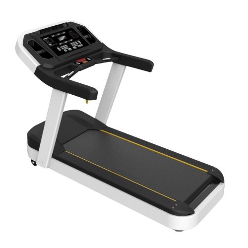 PT300 Treadmill